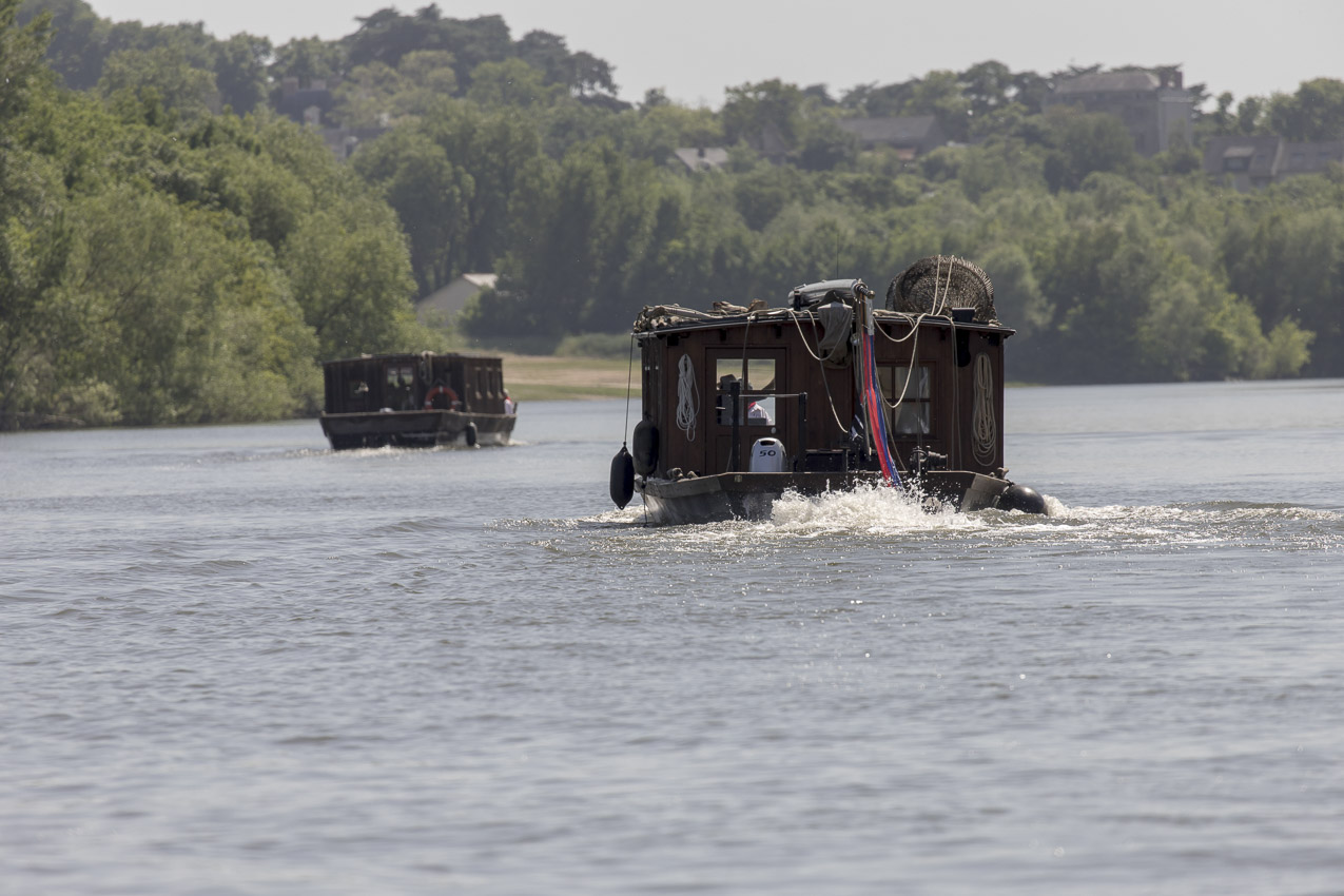 Transloire 2018  608